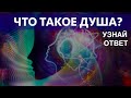 Какая цель у нашей души? Что такое Душа.Сергей Финько