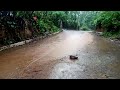 🌧️🌂El temporal en el Salvador zona oriental muy bonito. es ver como yuebe. ☔🌧️