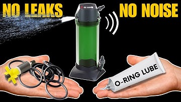 Eheim Canister Filter Maintenance - A Complete Guide