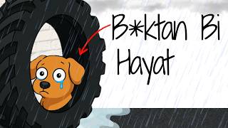 Ya Bir Sokak Köpeği Olarak Doğsaydın?