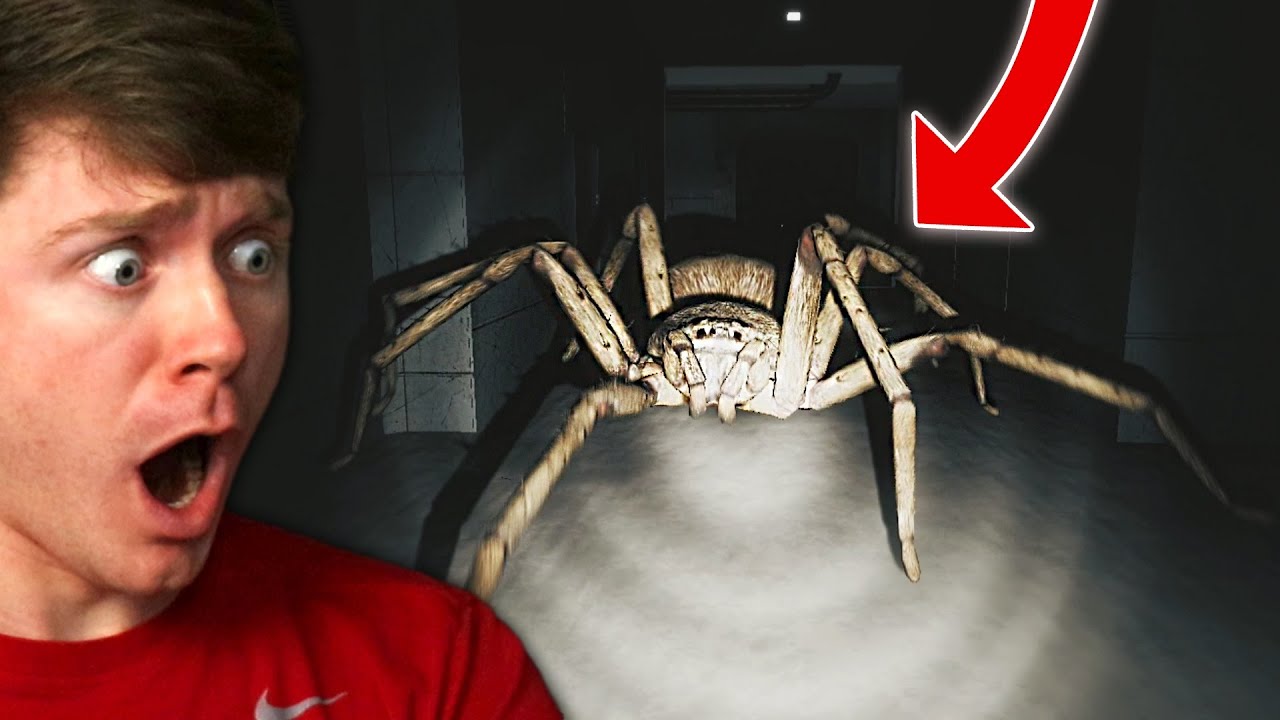 I was ATTACKED by a GIANT SPIDER! - Huntsman