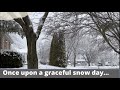 Snow fall in USA 2022 | Snow day | USA Tamil vlogs | The Bamboo springs