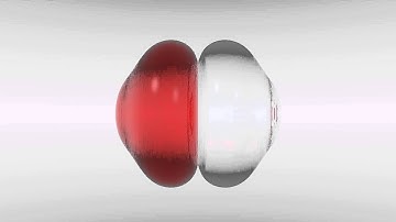 Binary Droplet Collision with Head-on Bouncing Outcome