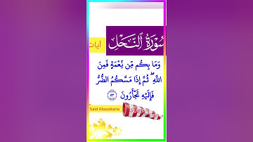 تلاوة رائعة لأيات من سورة النحل 🥰🥰#المغرب #القرآن_الكريم #سورة #quran #fyp #viral #آيات