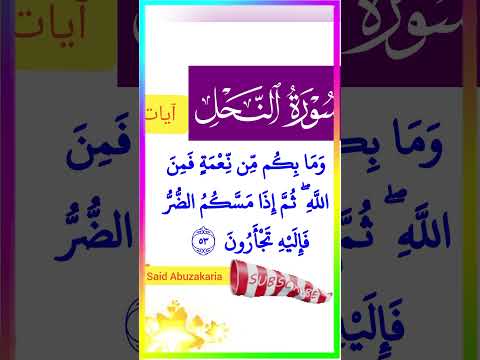 تلاوة رائعة لأيات من سورة النحل المغرب القرآن الكريم سورة    آيات