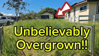 When The Grass Takes Over Part I | Overgrown Yard Transformation #asmr #mowinggrass #satisfying
