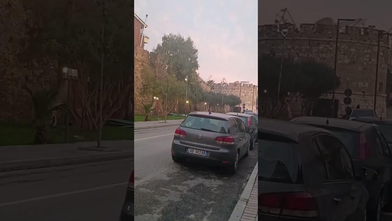 StreetDogsofDurrës: Finding 'No Joy'