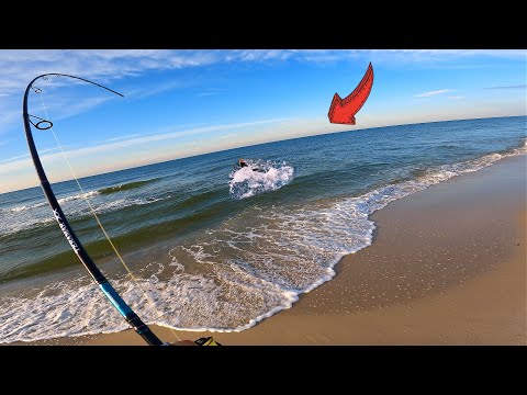 BIZARRE Catch Right By the BEACH! (Beach Fishing) 