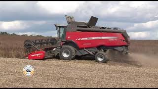 Massey Ferguson Centora 7382 Al Combining Spring Beans - From Four Seasons Of Farming