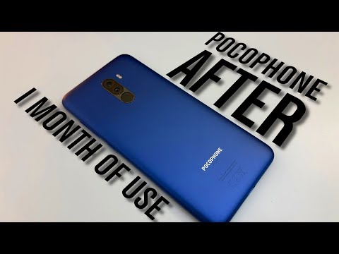 ONLY ONE DISADVANTAGE! POCOPHONE F1 AFTER 1 MONTH or DAILY DRIVER FOR A MONTH