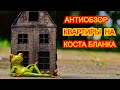 Антиобзор квартиры на Коста Бланка Испания