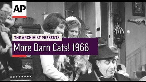 More Darn Cats! 1966 | The Archivist Presents # 57