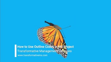 How to Use Outline Codes in Microsoft Project