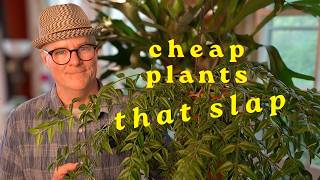 Starting from scratch, these plants would be my first picks