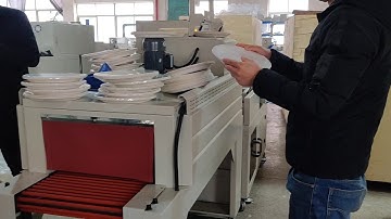 Full Automatic Disposable Paper Plate Shrink Heating Packing Machine