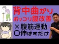 【ポッコリお腹・姿勢歪み改善】腹筋は意味無し!伸ばすだけストッキング体操~介護予防・動きやすい体に~