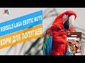 Versele-Laga Exotic Nuts корм для попугаев | Обзор Versele-Laga Exotic Nuts корм для попугаев