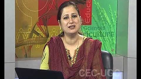 Overview of Some Emerging Technologies