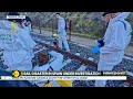 Spain Train Disaster Probed As Faulty Track Component Emerges In Early Findings | WION