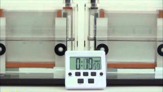 ラピッド泳動用緩衝液 20倍濃縮 Sds Page用 Rapid Running Buffer Solution 20x For Sds Page 製品情報 ナカライテスク