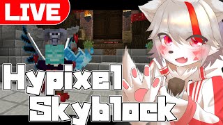 【Hypixel Skyblock | 参加型】MM優先でダンジョン回ろうぜ【Vtuber】