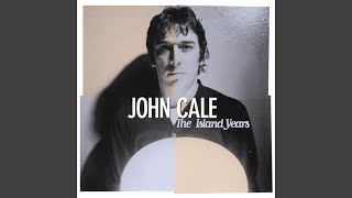 Watch John Cale All I Want Is You video