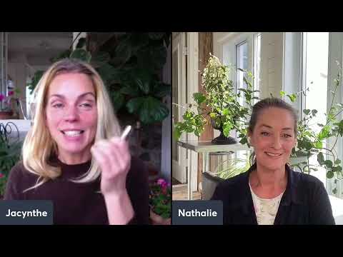 En direct avec Nathalie - Présentation promotion du quatuor aux agrumes à 71 $