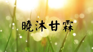 YPT41《曉沐甘霖》心靈音樂｜休閒音樂｜佛教音樂｜禪修音樂｜太極拳背景音樂＞無痕加長珍藏版