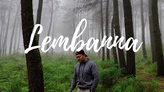 Camping di hutan pinus Lembanna Malino