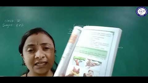 CLASS 3 (EM) | EVS | DEEPA