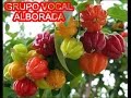 GRUPO VOCAL ALBORADA - ÑANGAPIRI (CHAMAME)