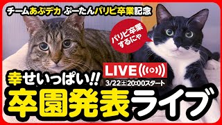 🔴【3月22日(土) 20時スタート】しあわせいっぱい♪卒園発表ライブ💐
