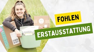 ERSTAUASTATTUNG fürs Pferd 🤩💸 | Haul screenshot 5