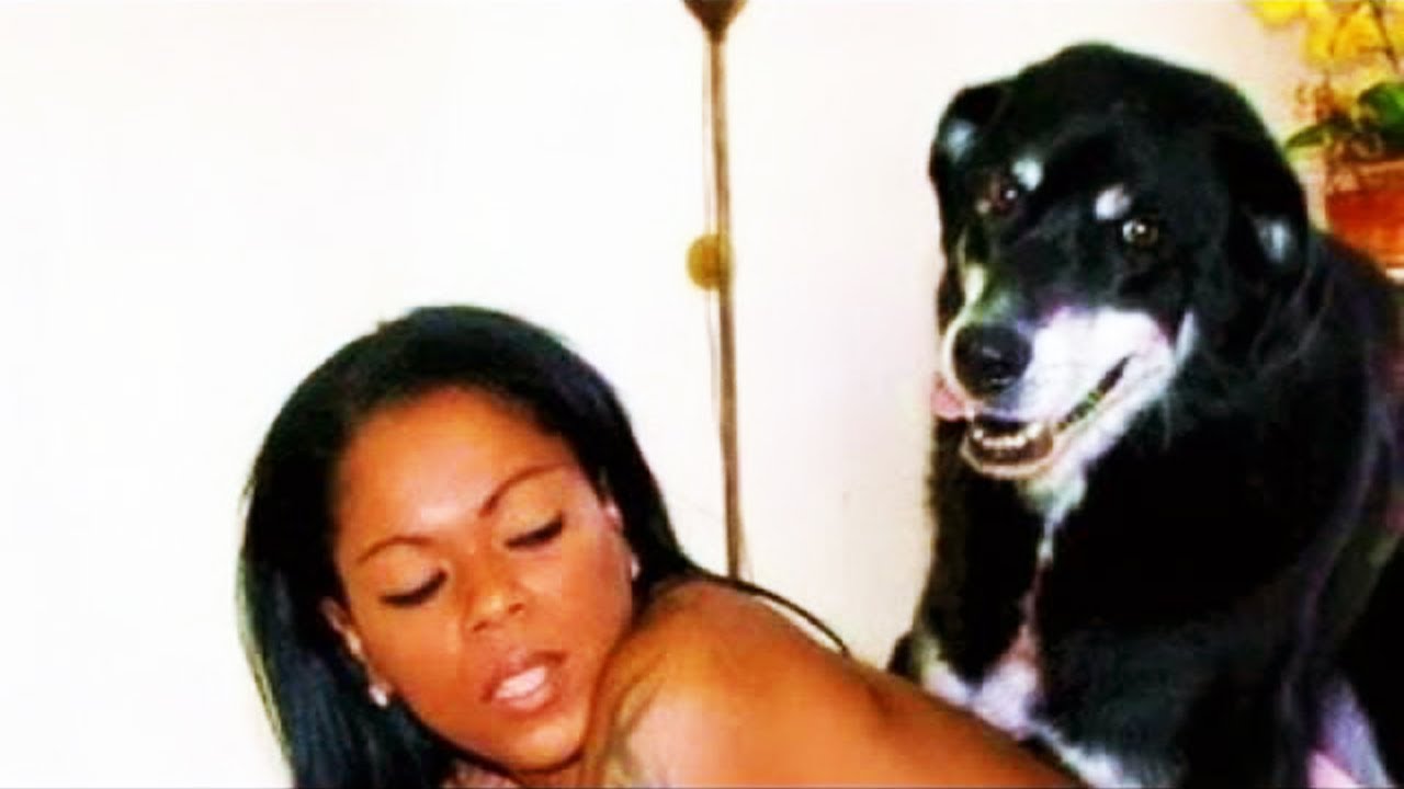 Видео зоо рассказ. Девушка с собакой. Девушка с огромным догом. Близость с животными. Женщины и животные связь.