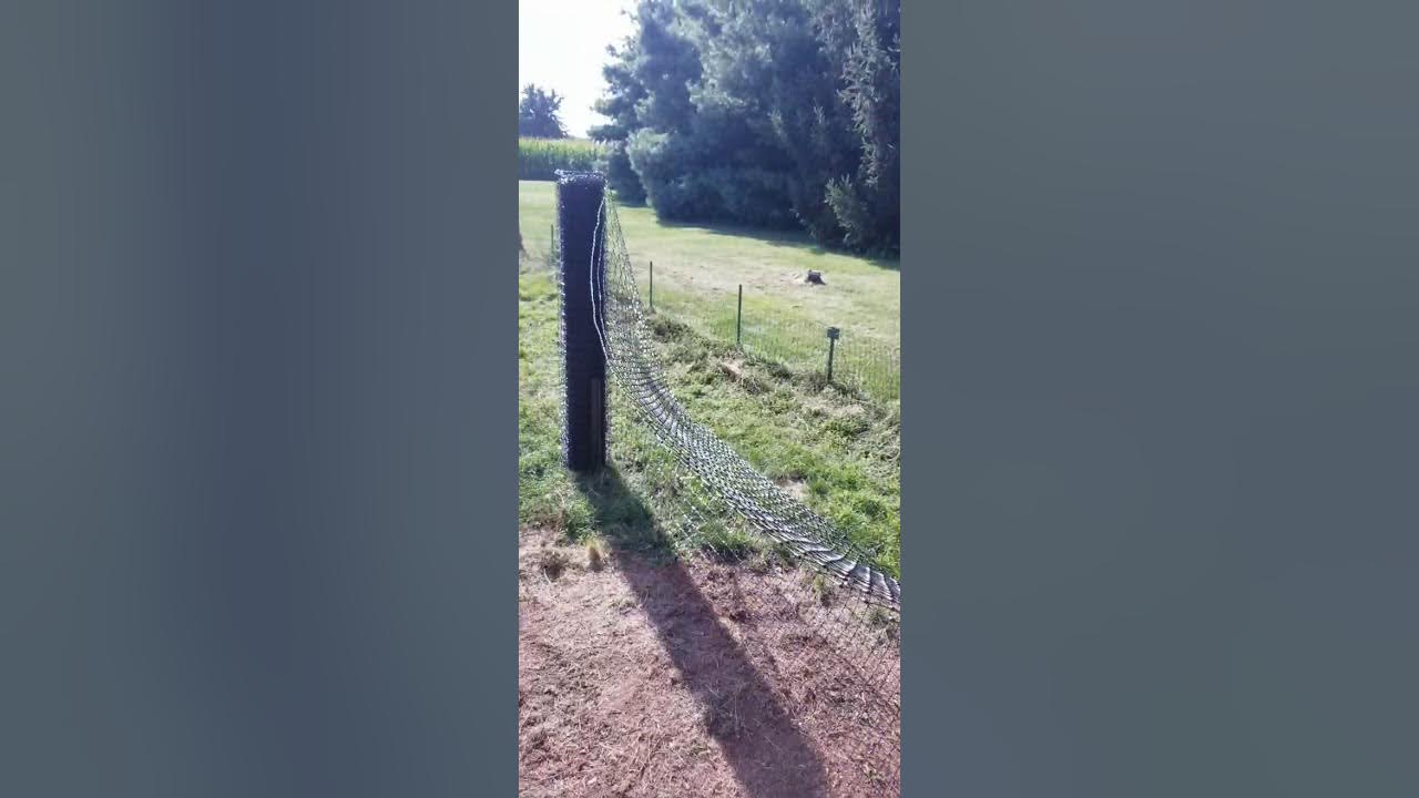 Poly Dog Fence Install YouTube