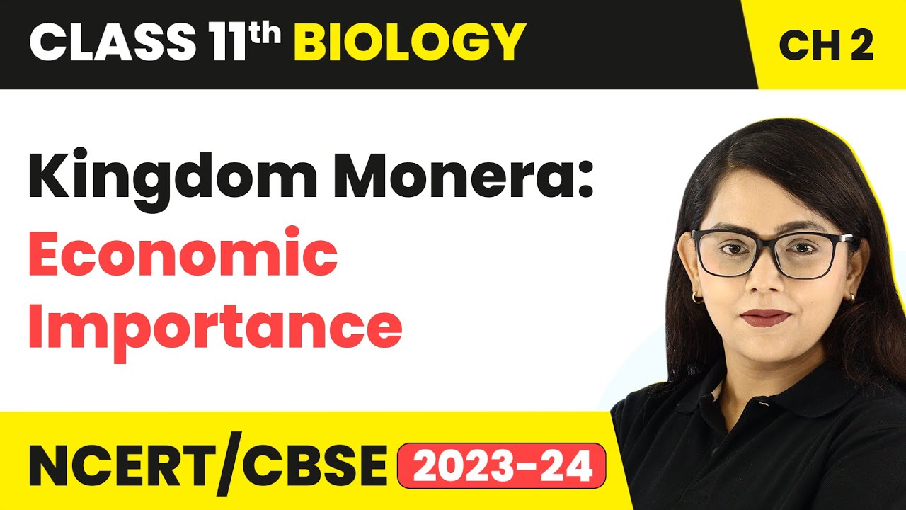 Kingdom Monera: Economic Importance - Biological Classification | Class 11  Biology Ch 2 | NCERT/CBSE
