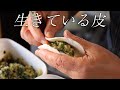 注文を受けてから餃子を包む店「まっちゃん」/Japanese dumpling shop
