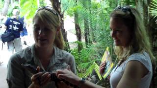 Australia Zoo Petting a Croc.MOV