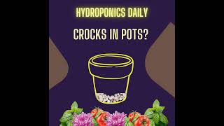 Bro Science Myths - Crocks in Pots