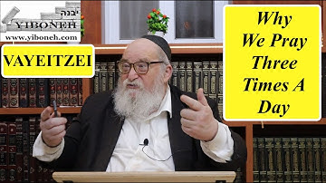 Rav Yitzchak Breitowitz: Why We Pray Three Times a Day