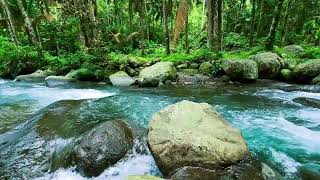 Flowing River in the Woods – Natural Sounds for Study & Meditation