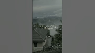 قرآن كريم #القران #قرآن_كريم #راحة_نفسية #اكسبلور #تلاوة #لايك
