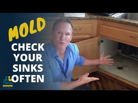 Mold Why You Should Look Under Sinks Often