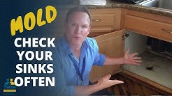Mold - Why You Should Look Under Sinks Often