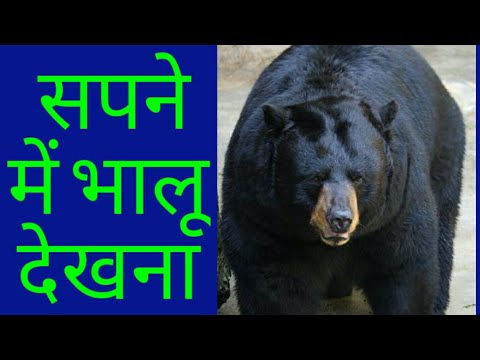 वीडियो: मिसौरी के झंडे पर भालू का क्या मतलब है?