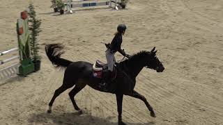 Ilgaz Eski̇duman - 11.05.2019 110 Cm İask Kupasi Beşi̇nci̇si̇