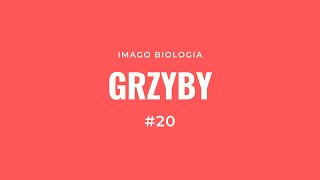 Grzyby