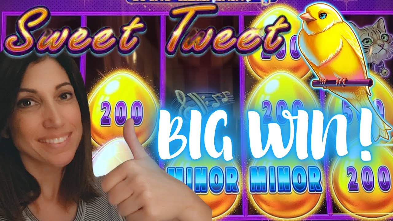 🐤 BIG WIN on Sweet Tweet Drop & Lock Slot Machine