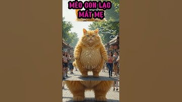 Mèo con đi chợ bị lạc mất mẹ #hàihước #mèo #giaitri #chuyencuaai
