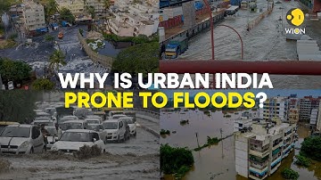 Why is urban India prone to floods? | WION ORIGINALS